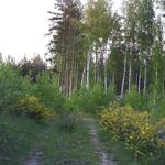 Фото с бердвочинг тура