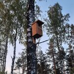 Фото с бердвочинг тура